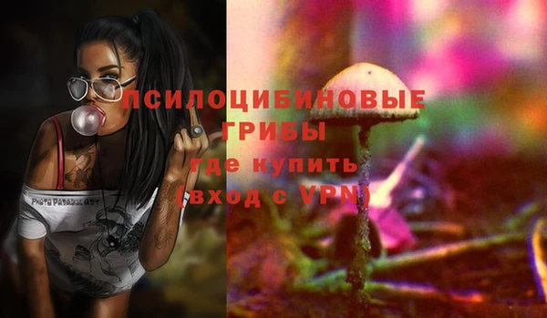 кокаин премиум Каменка