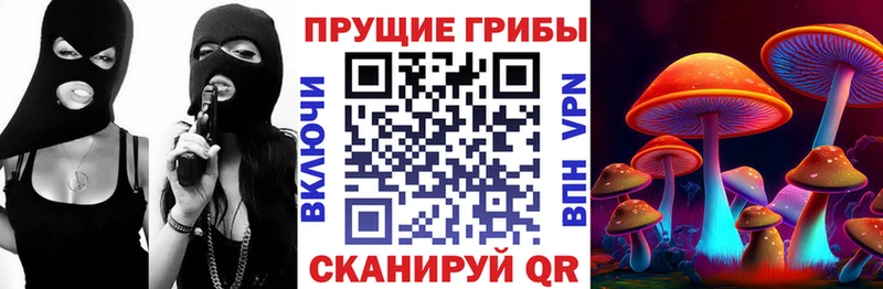 blacksprut ссылки Томмот Галлюциногенные грибы MAGIC MUSHROOMS закладка